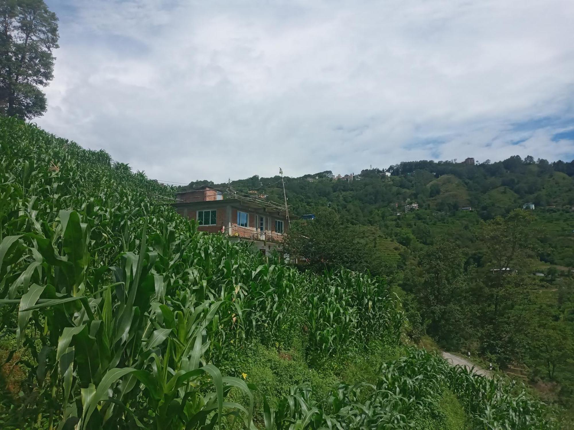 Unique Point Home Stay Nagarkot Exterior photo